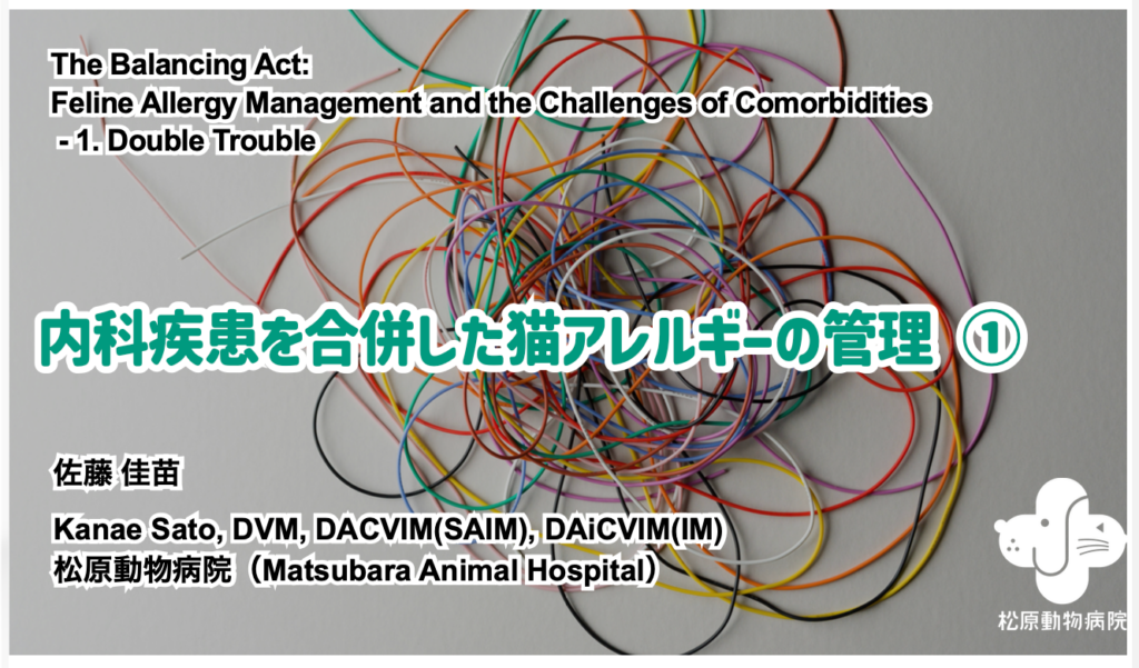 内科疾患を併発した猫のアレルギー管理① The Double Trouble 佐藤佳苗