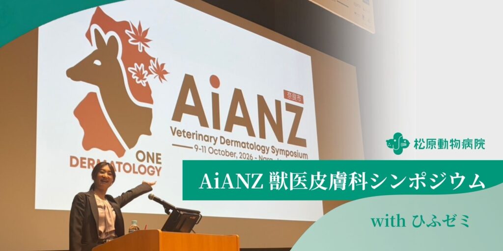 AiANZ 獣医皮膚科シンポジウム with ひふゼミに登壇する当院獣医師 佐藤佳苗