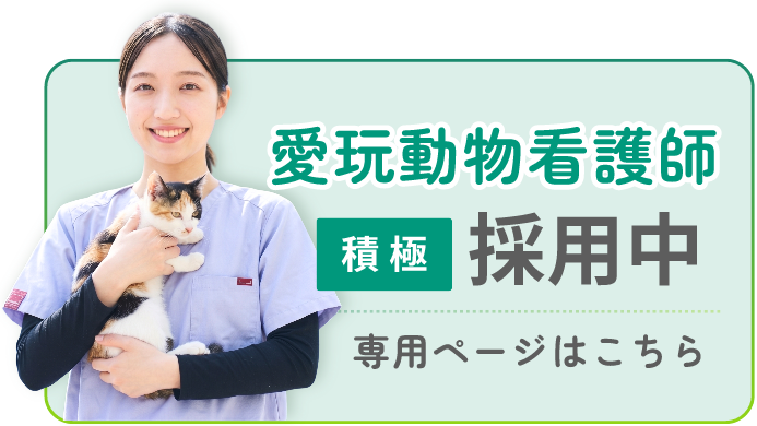 愛玩動物看護師 積極採用中 専用ページはこちら