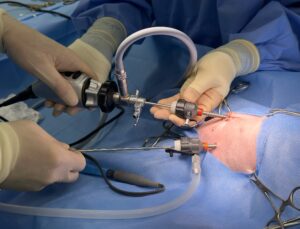 松原動物病院での腹腔鏡下肝生検を実施している様子。専用のカメラを腹腔内へ挿入する。