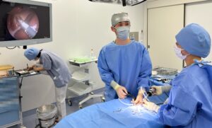松原動物病院での腹腔鏡下肝生検を実施している様子