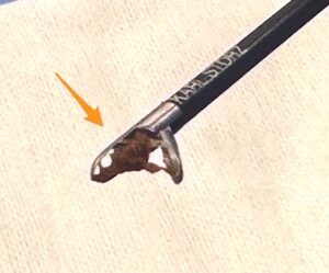 松原動物病院での腹腔鏡下肝生検で採取された肝臓組織。これを複数個採取する。